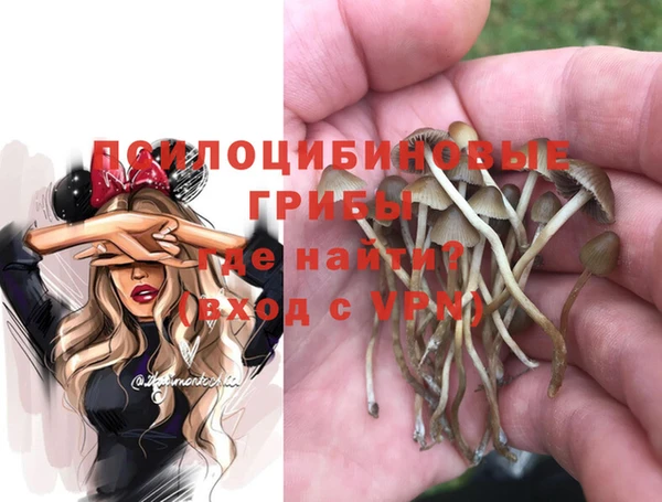 ГАЛЛЮЦИНОГЕННЫЕ ГРИБЫ Мегион