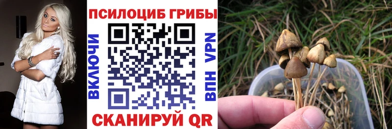 Галлюциногенные грибы Magic Shrooms  Домодедово 
