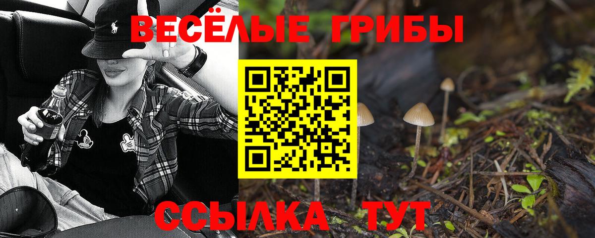 Псилоцибиновые грибы Psilocybe  Галлюциногенные грибы мухоморы  Вход с VPN  закладка  Домодедово 