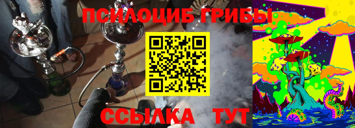 Галлюциногенные грибы Magic Shrooms  Домодедово 