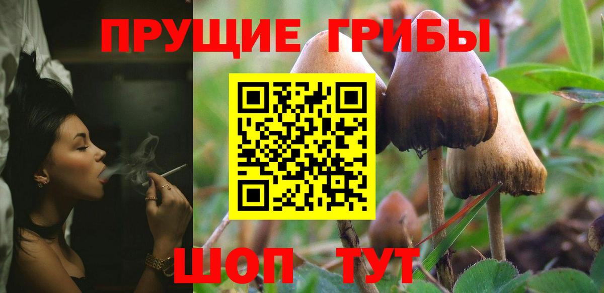 Галлюциногенные грибы мицелий Домодедово